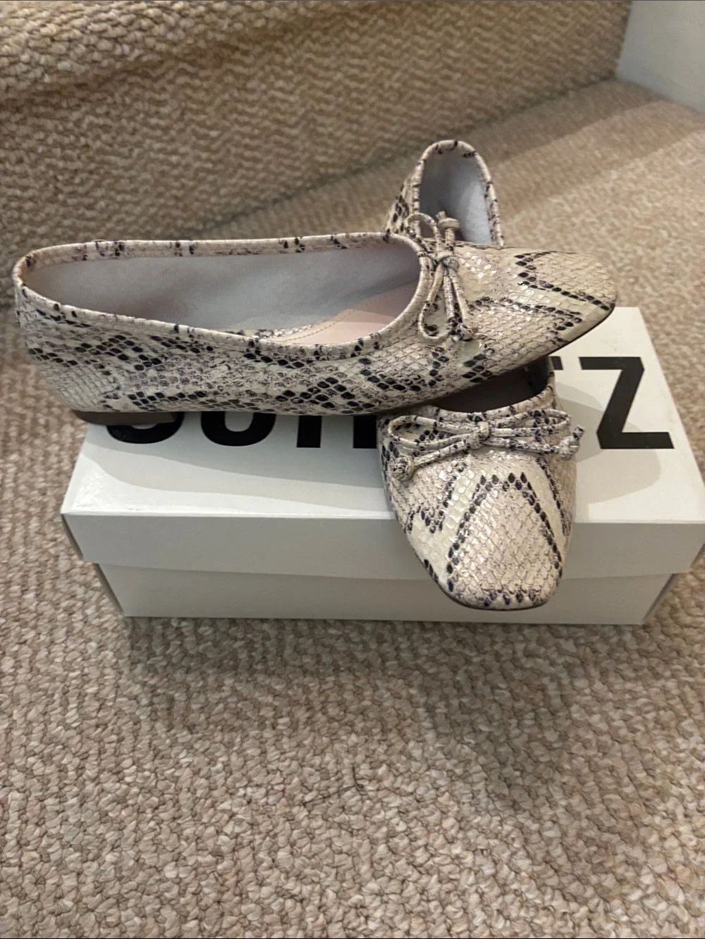 SCHUTZ Snake-Print Cream and Black Bow Ballet Flats Arissa